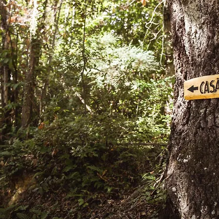 Nature & Relax In Tuscany - Pagiano 2 * Roccastrada